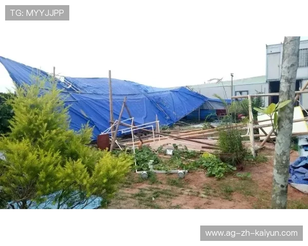 五人抱团强拆基地